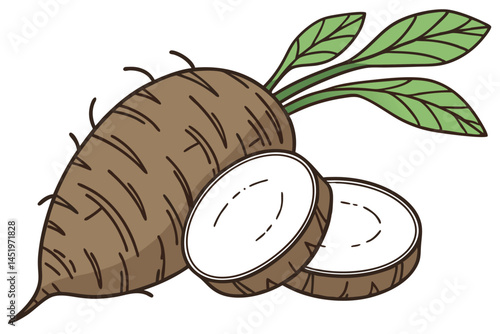Malanga Vegetable Vector Illustration Isolated on White Background

