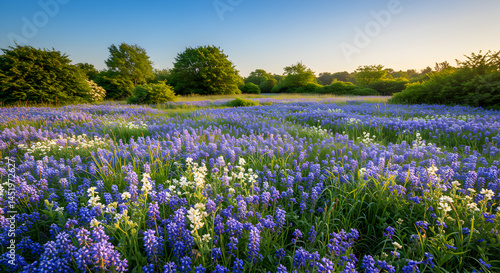 Wallpaper Mural Enchanting Meadow With Spring Bluebells And Wildflowers Under Blue Sky Torontodigital.ca