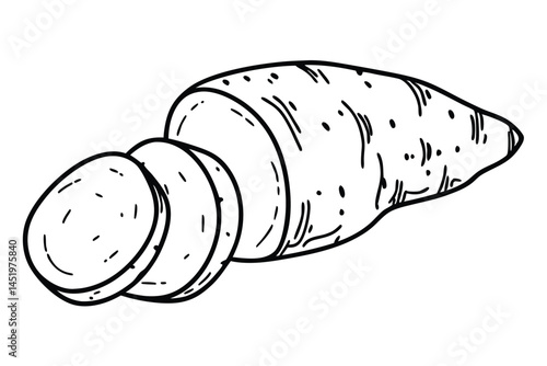 Sweet Potato Vegetable Vector Illustration Isolated on White Background

