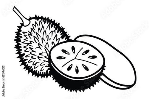 Teasel Gourd Vegetable Vector Illustration Isolated on White Background

