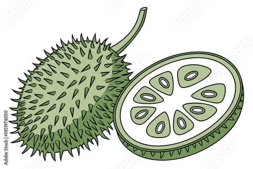 Teasel Gourd Vegetable Vector Illustration Isolated on White Background


