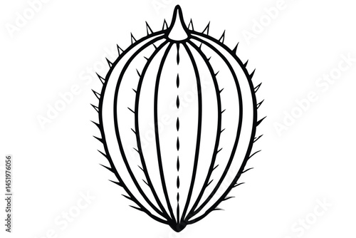 Teasel Gourd Vegetable Vector Illustration Isolated on White Background

