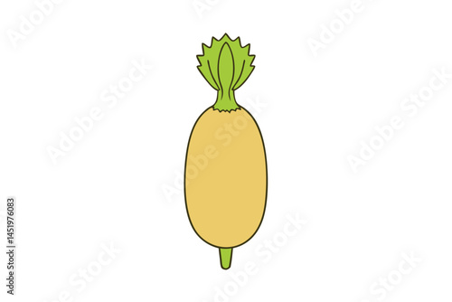 Teasel Gourd Vegetable Vector Illustration Isolated on White Background

