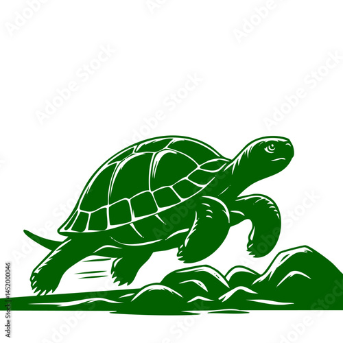 Green Tortoise Running on Rocks: A Dynamic Wildlife Image