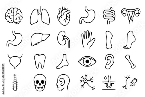 Human Anatomy Icons.anatomy, brain, lungs, heart, stomach, intestines, uterus, liver, kidney, hand, leg, foot, bladder, tooth, eye, ear, bone, spine, skull, ear, neuron, skin, bacteria, human, health,