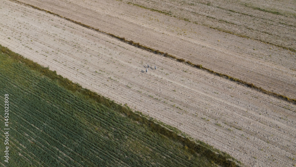 Clear aerial view of prepared farmland showing plowing patterns