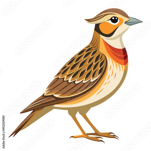 Skylark-bird-isolated-on-white background. 
