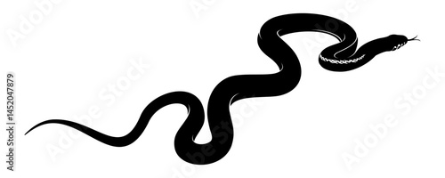 snake vector illustration on white background 3