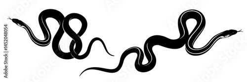 snake vector illustration on white background 6