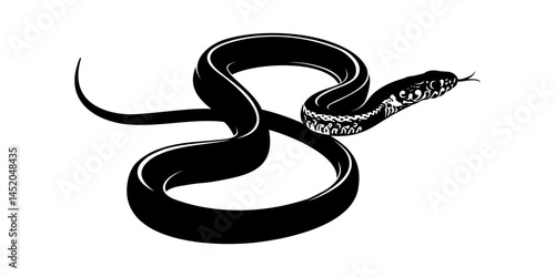 snake vector illustration on white background
