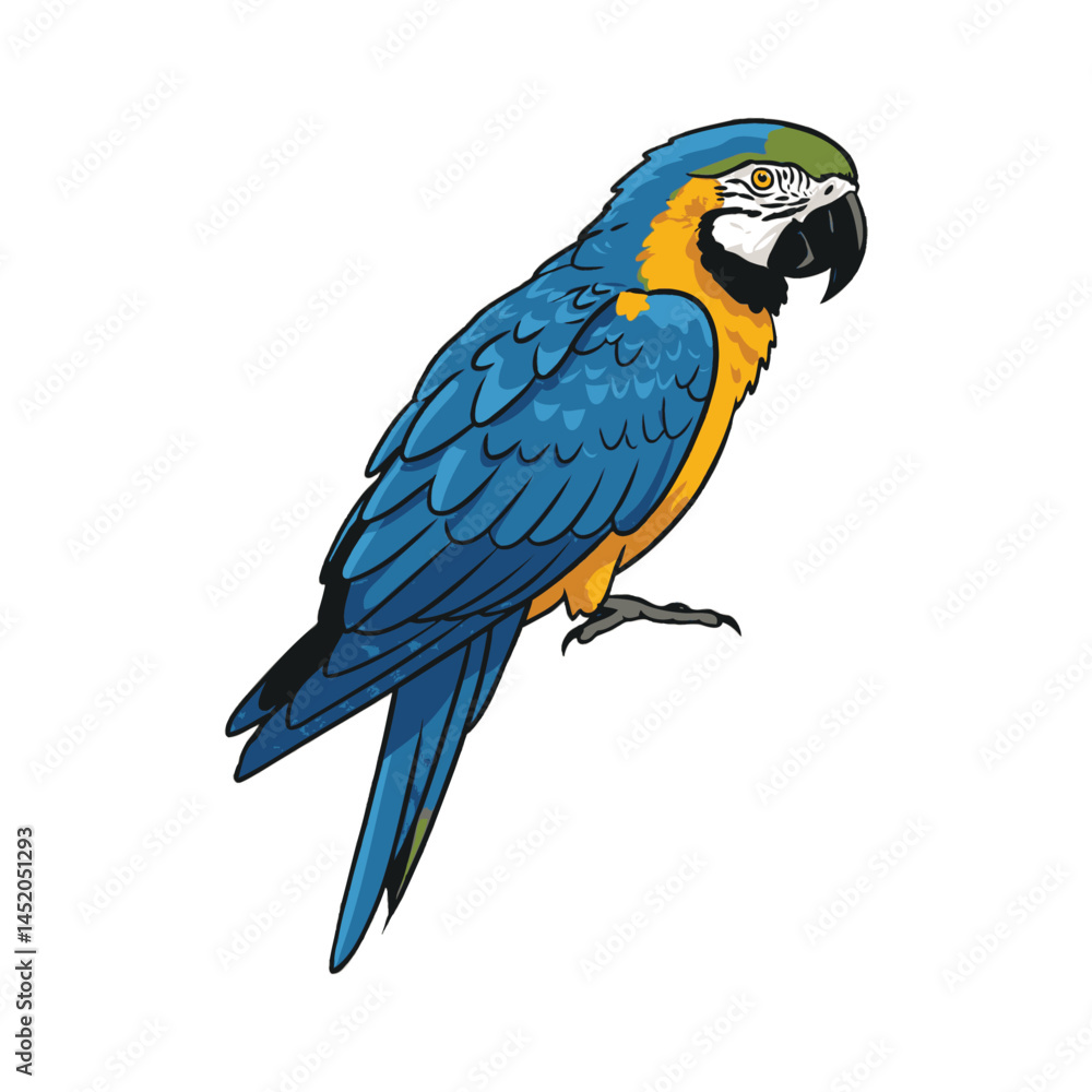 Fototapeta premium Colorful Macaw Parrot Standing Vector Illustration