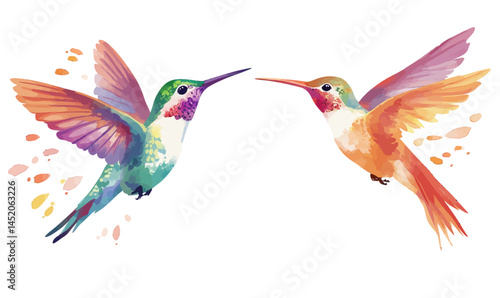Colorful Minimalist Watercolor Hummingbird Vector Illustration for Graphic Design