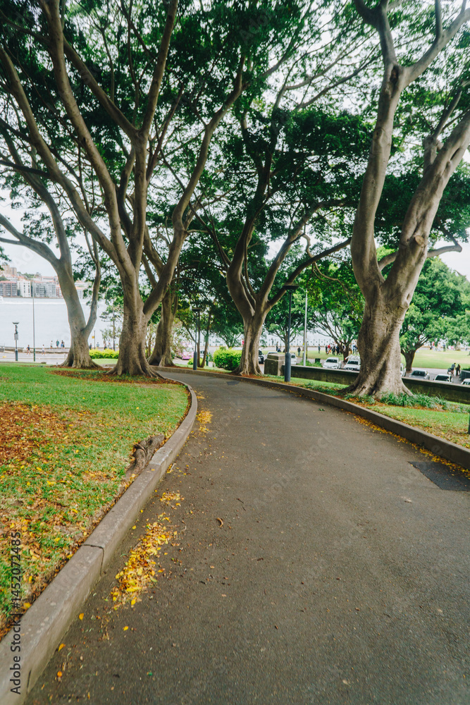 Obraz premium Dawes Point Reserve pathway in Sydney Harbour, NSW, Australia