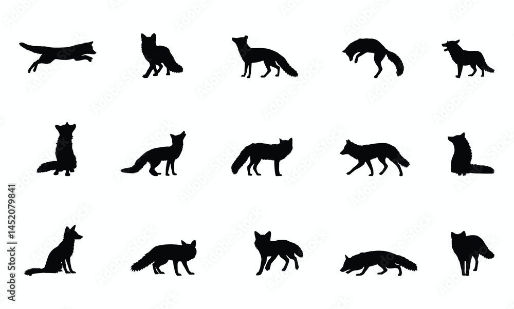 Obraz premium fox silhouette set