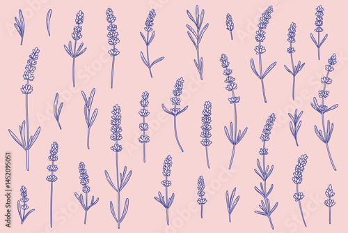 set of lavender flowers of different shapes in linear style