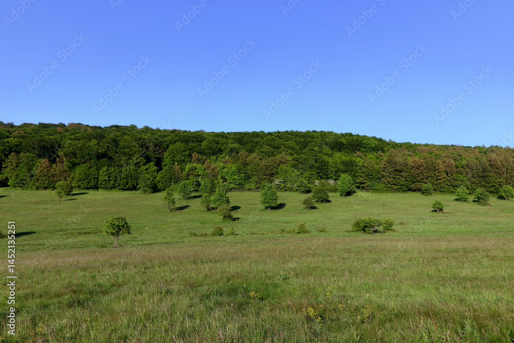 Spring landscape with green trees and open fields. Spring landscape with green trees and open fields.