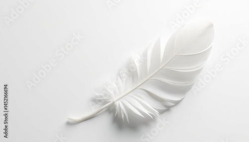 Delicate white feathers against pure white backdrop, light, design, object