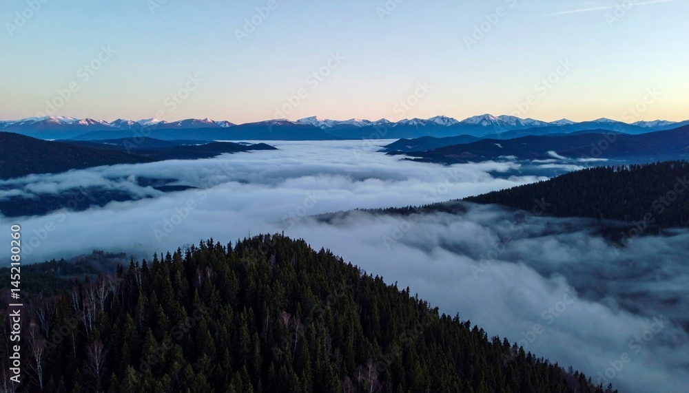 Fototapeta premium uN amanecer, revelando una impresionante vista de la niebla que se arremolina entre imponentes y densos bosques de pinos y distantes y majestuosas montañas nevadas. 