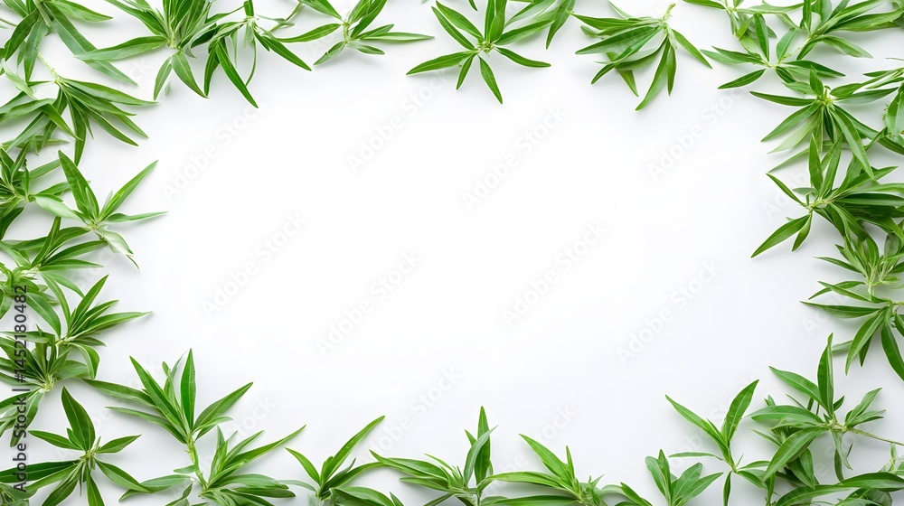 Green Leaves Frame White Background Botanical Flatlay Green Leaves Frame White Background Botanical Flatlay