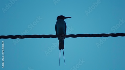 A solitary fork-tailed flycatcher perched on a wire against a blue sky