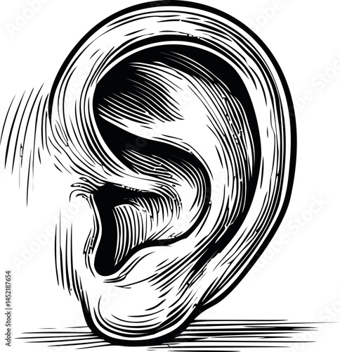Illustration of a detailed human ear in black and white sketch style. Vector illustration.