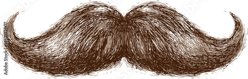 Hand-drawn illustration of a classic brown bushy mustache, vintage style art. Vector illustration.