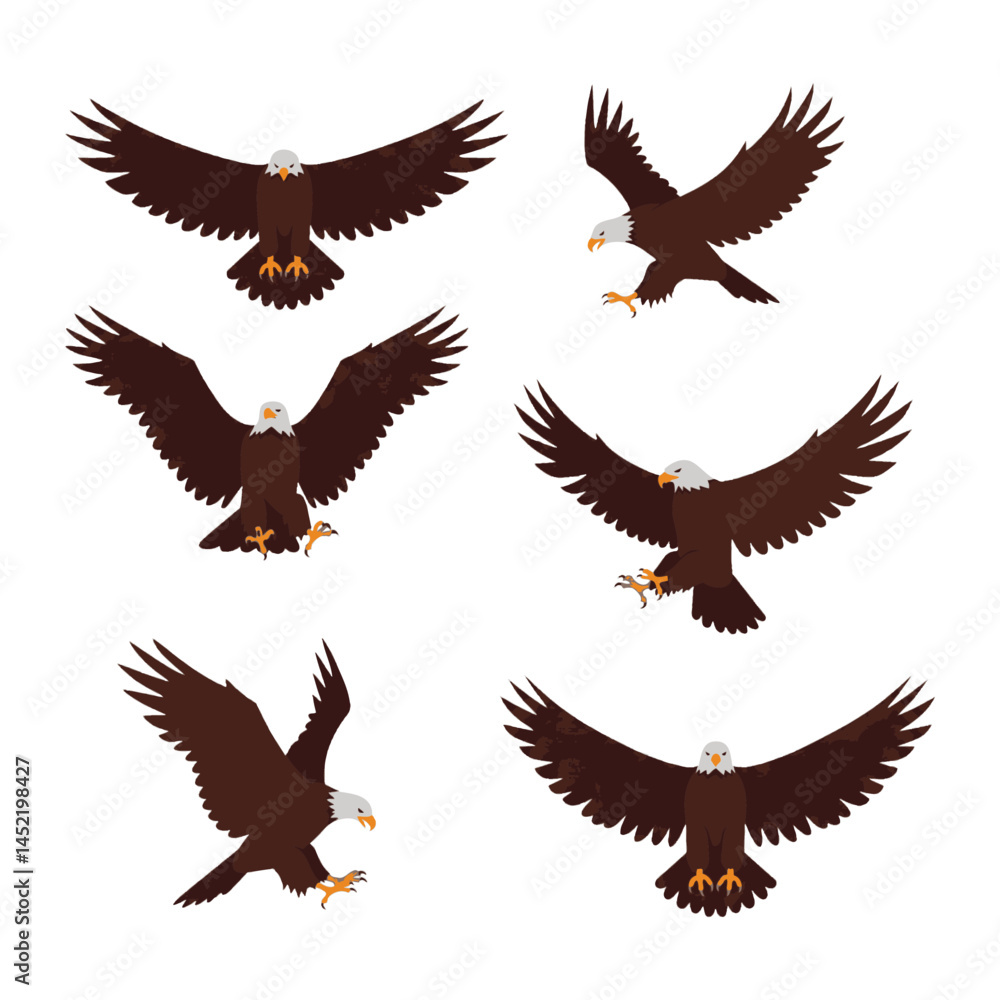 Fototapeta premium Flying Bald Eagles Set with Spread Wings Vector