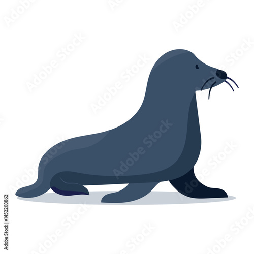 Sea Lion Vector Illustration in Flat Minimalist Style