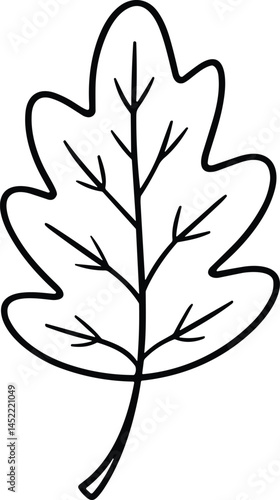 Oak Leaf Line Art Vector Illustration for Thanksgiving and Autumn Decor