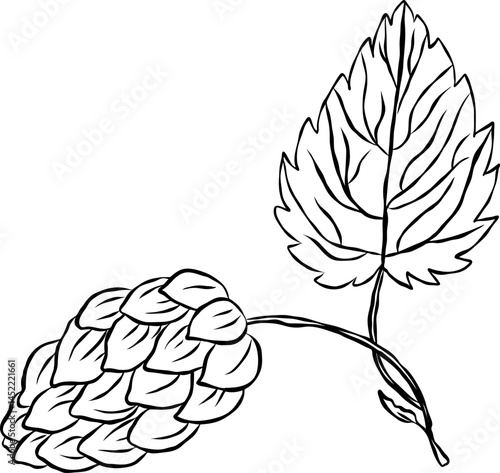 Hop cone with leaf, imitation of hand drawing.eps