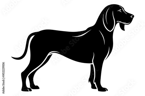 bloodhound sihouette black vector