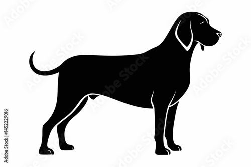 bloodhound sihouette black vector