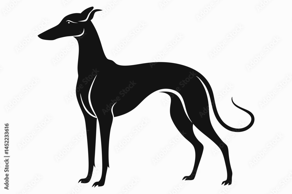 Obraz premium greyhound sihouette black vector