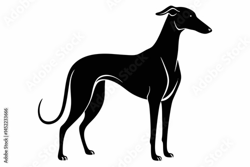 greyhound sihouette black vector