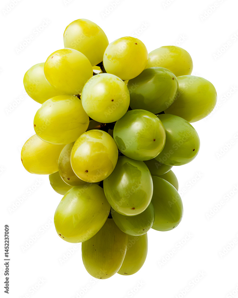 Green Grapes with green leaves on a branch isolated on a white background
Green Grapes with green leaves on a branch isolated on a white background