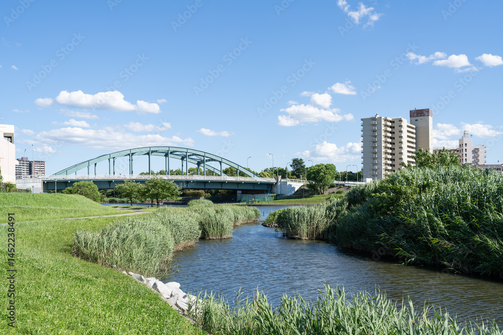 Fototapeta premium 旧中川と江東新橋
