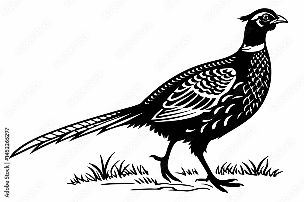 pheasant sihouette black vector pheasant sihouette black vector