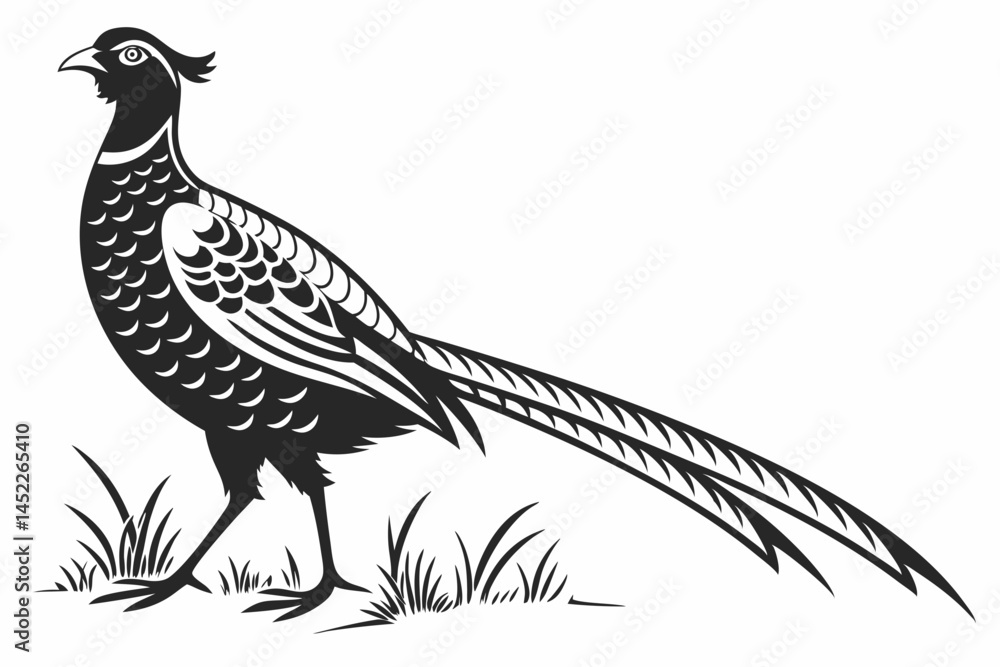 Obraz premium pheasant sihouette black vector