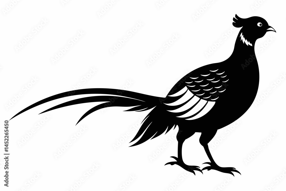 Fototapeta premium pheasant sihouette black vector