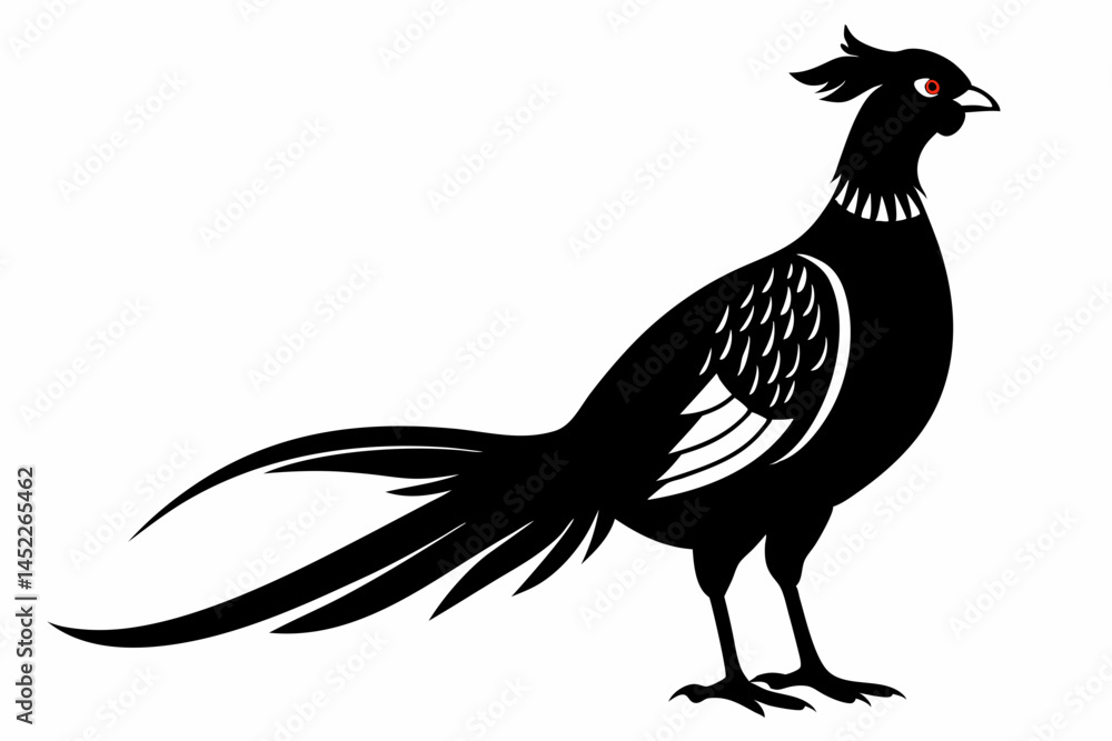 Fototapeta premium pheasant sihouette black vector