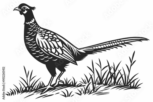 pheasant sihouette black vector
