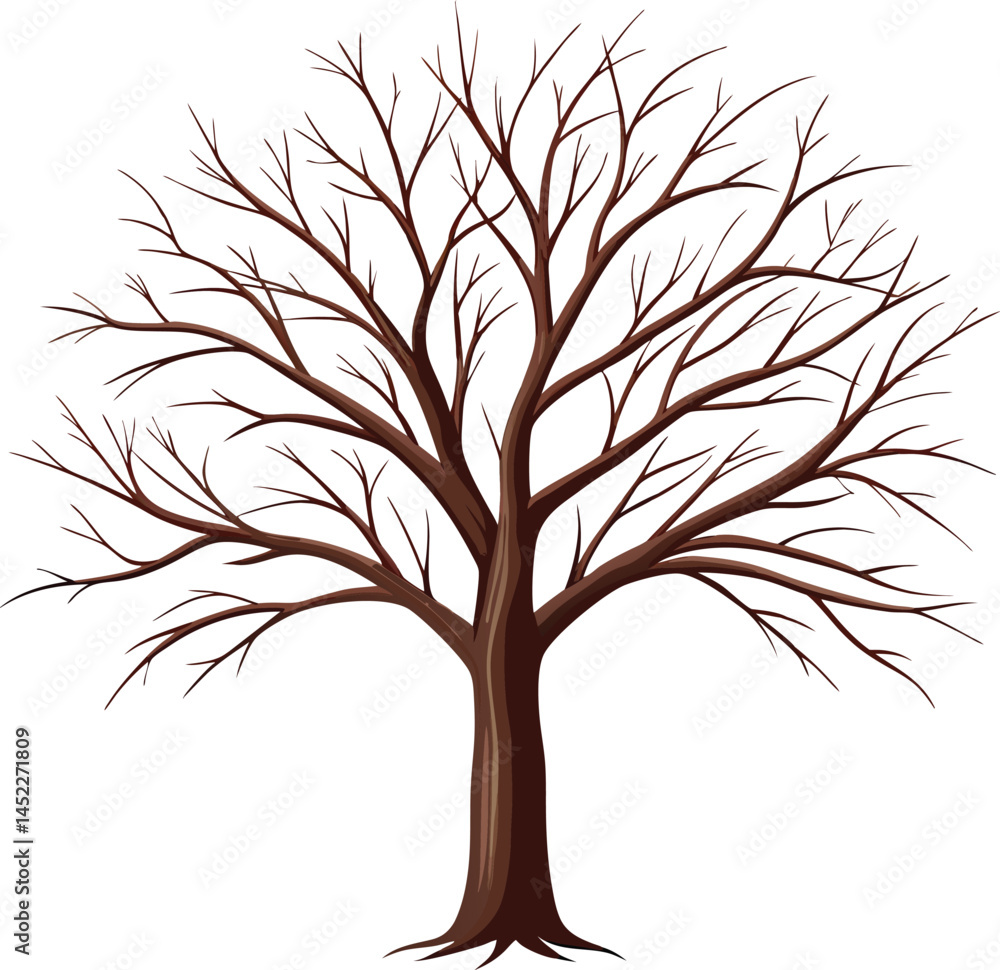 Obraz premium Bare winter tree
