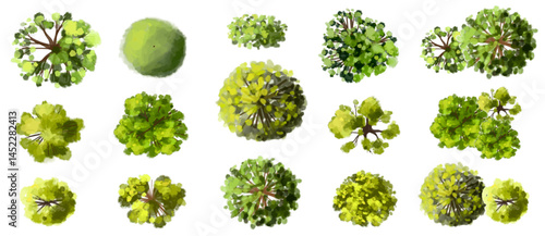 Vector set of Top view green tree for outdoor plan or map and architecture drawing, elements for environment and garden ,botanical elements ,Blooming flowers in spring,tropical plants element