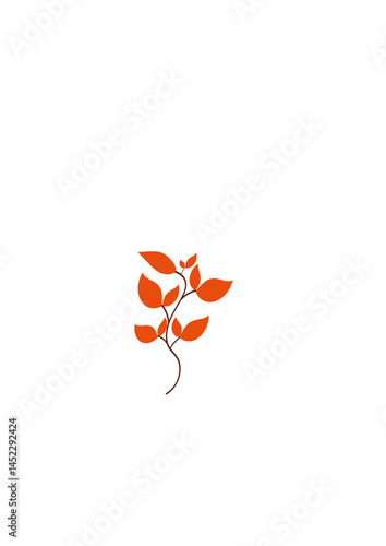 autumn, leaves, season of the year, autumn