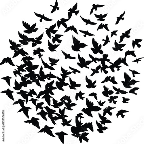 Flock of Birds Silhouette Vector Illustration, Flying Bird Graphic Design Art