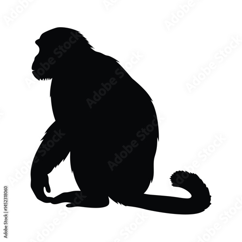 Silhouette vector of a monkey sitting, depicting a chimpanzee primate in black and white