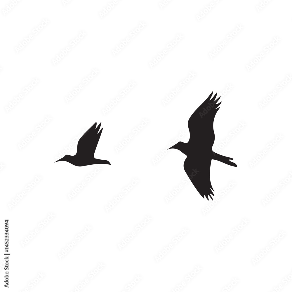 Obraz premium Flying Birds Vector And Illustration. 