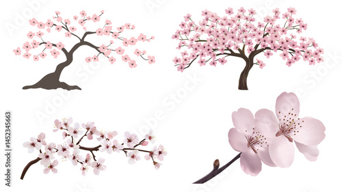 Close-up of blooming cherry blossom tree branch with delicate pink sakura flowers in full spring bloom — vector illustration of seasonal Japanese floral nature, soft petals, and tranquil atmosphere.