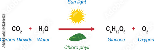 Photosynthesis equation - photosynthesis formula. Biology Education Chart. diagram. vector illustration.
