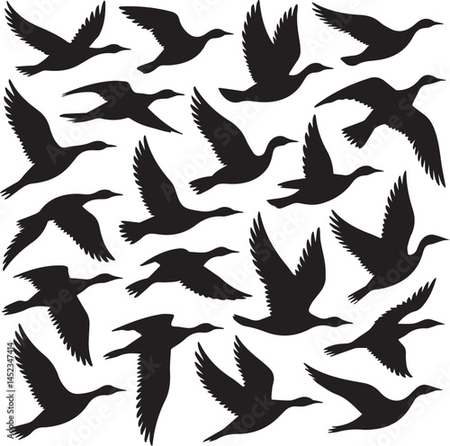 Vector Illustration of Flying Bird Silhouettes Collection